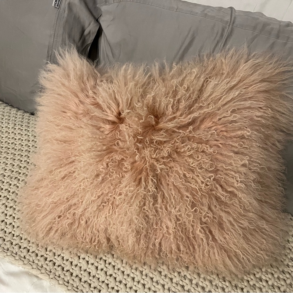 NWT West Elm Pink 12 x 16 in Mongolian Lamb Pillow Cover and insert
